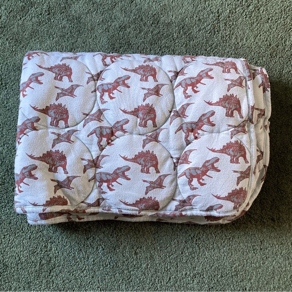 Kate Quinn toddler dinosaur bamboo quilt